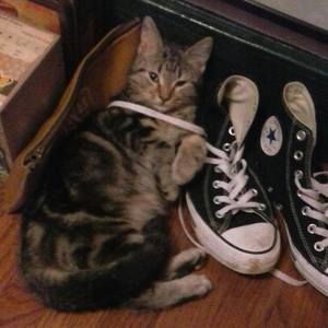 Meet your Posher, Teri